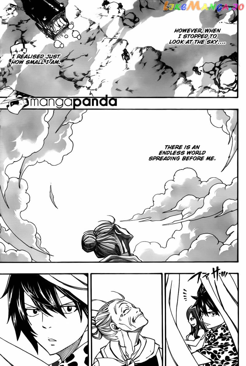 Fairy Tail chapter 339 - page 17