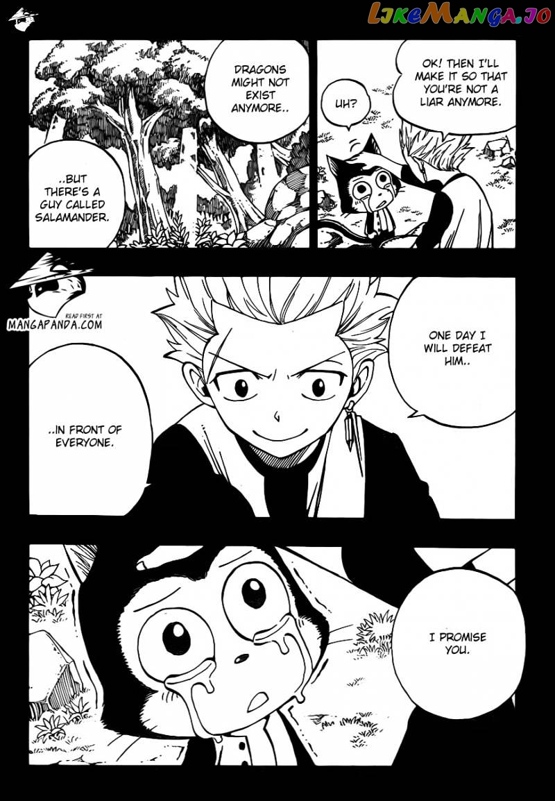 Fairy Tail chapter 295 - page 20