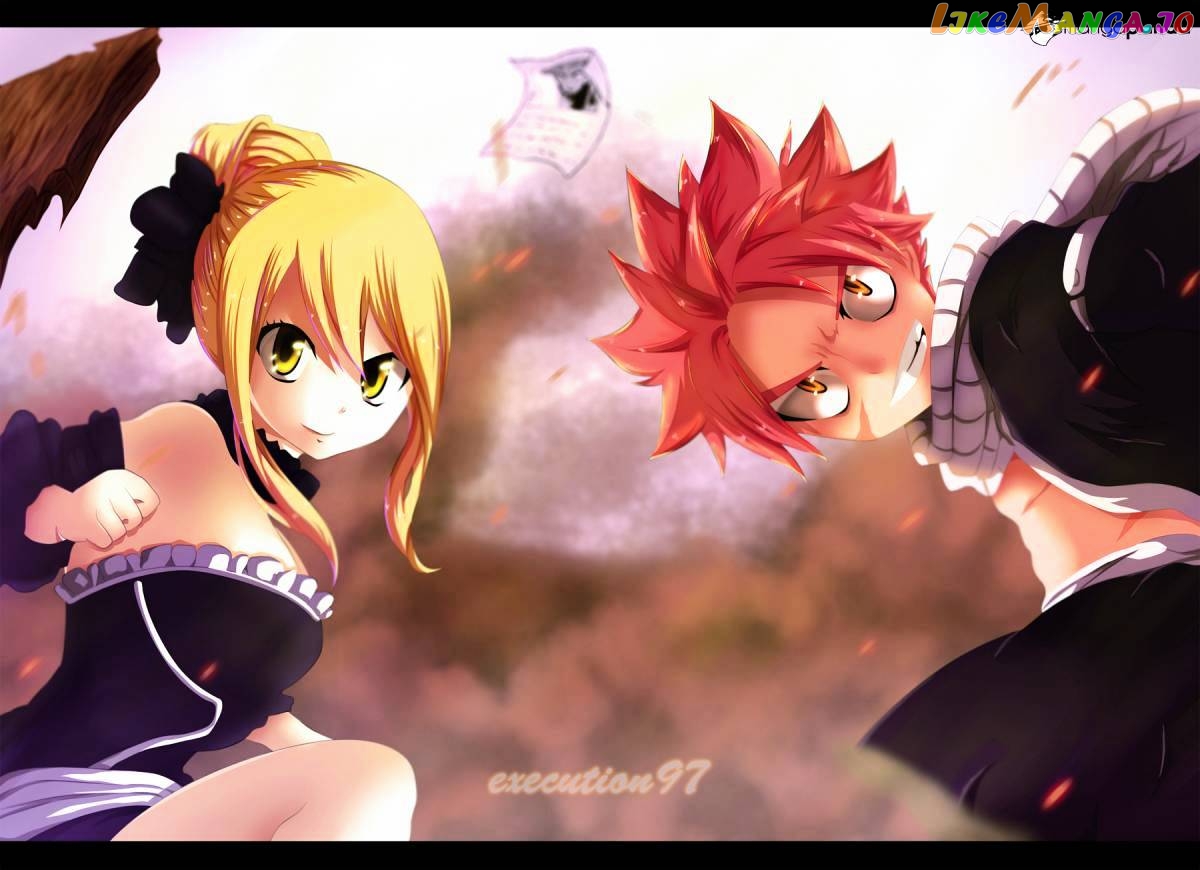 Fairy Tail chapter 492 - page 23
