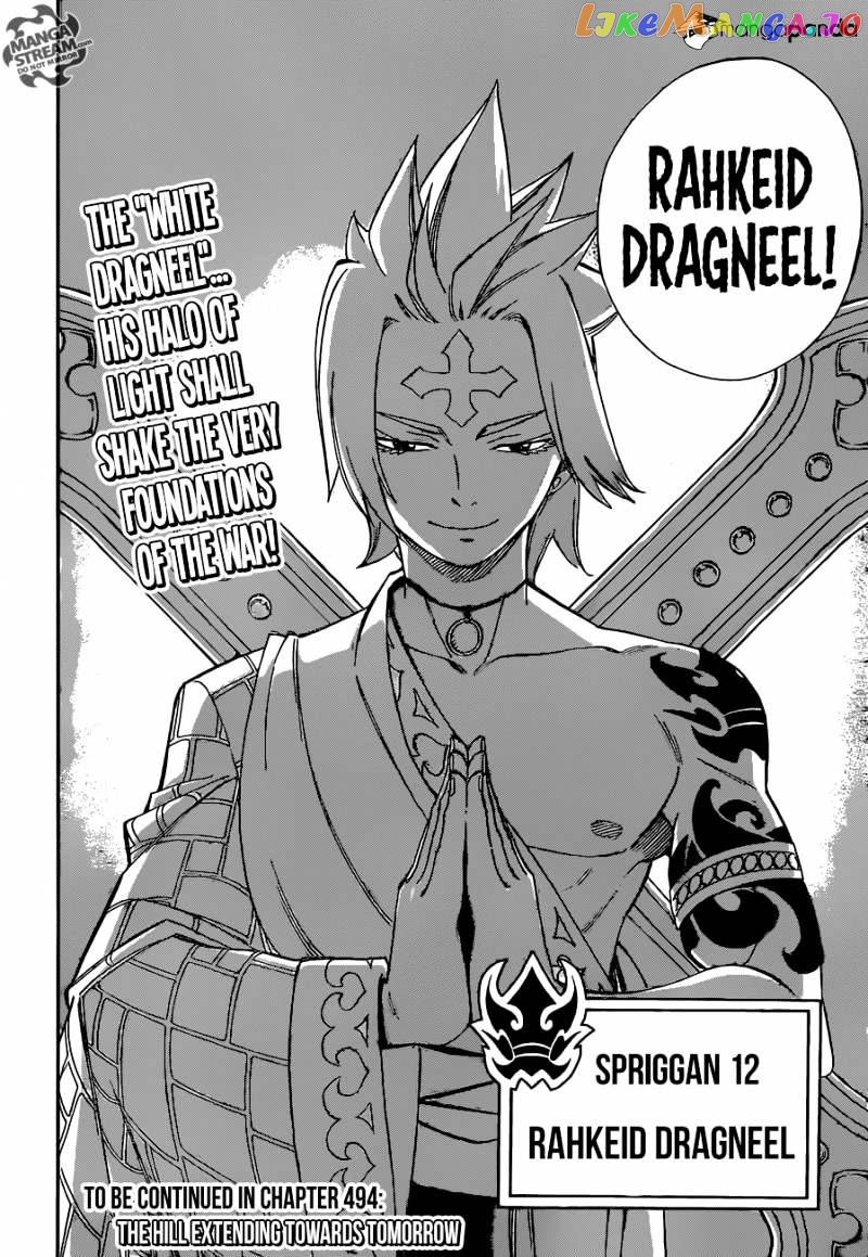 Fairy Tail chapter 493 - page 22