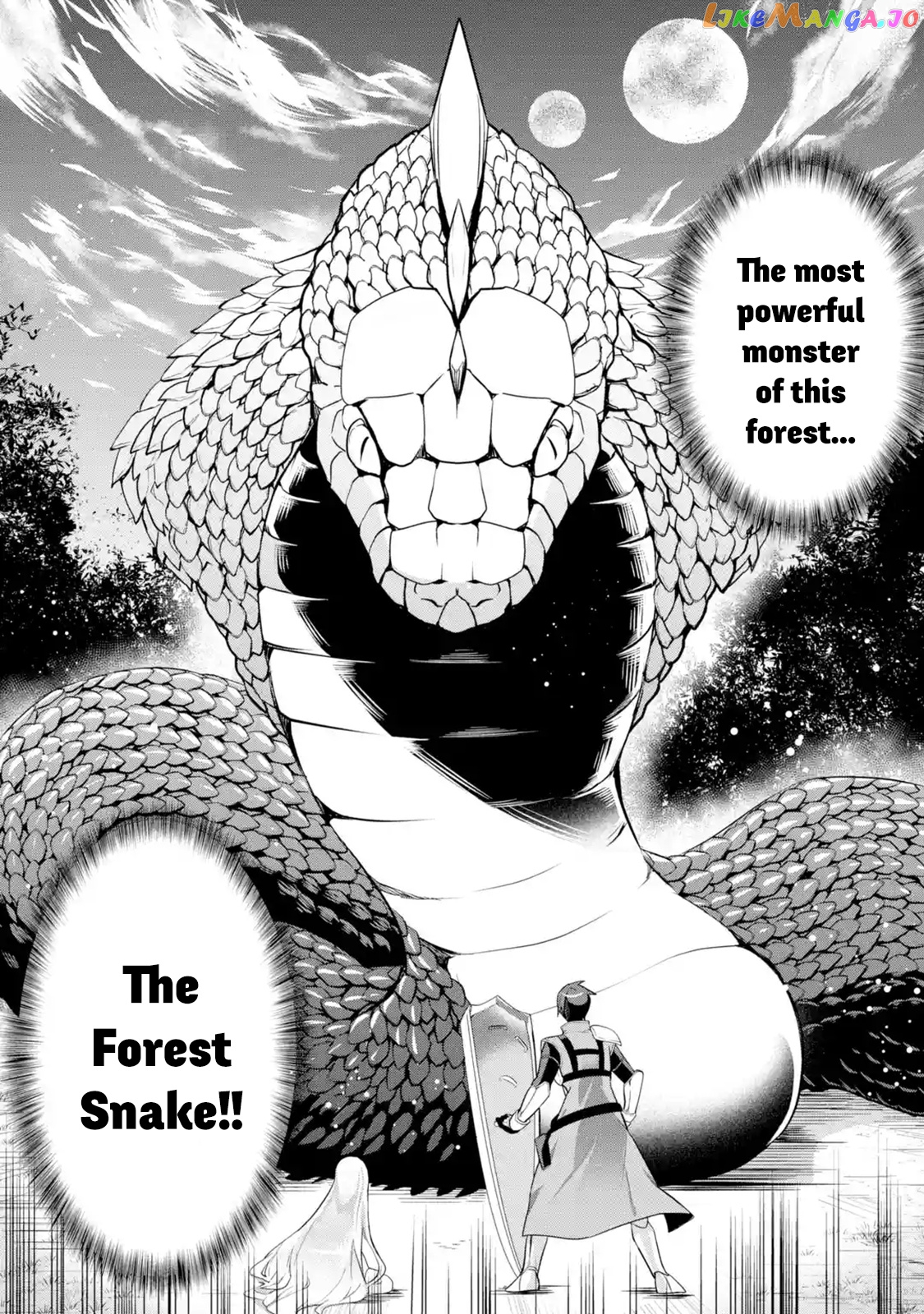 The Labyrinth Raids of the Ultimate Tank ~The Tank Possessing a Rare 9,999 Endurance Skill was Expelled from the Hero Party~ chapter 1.4 - page 4