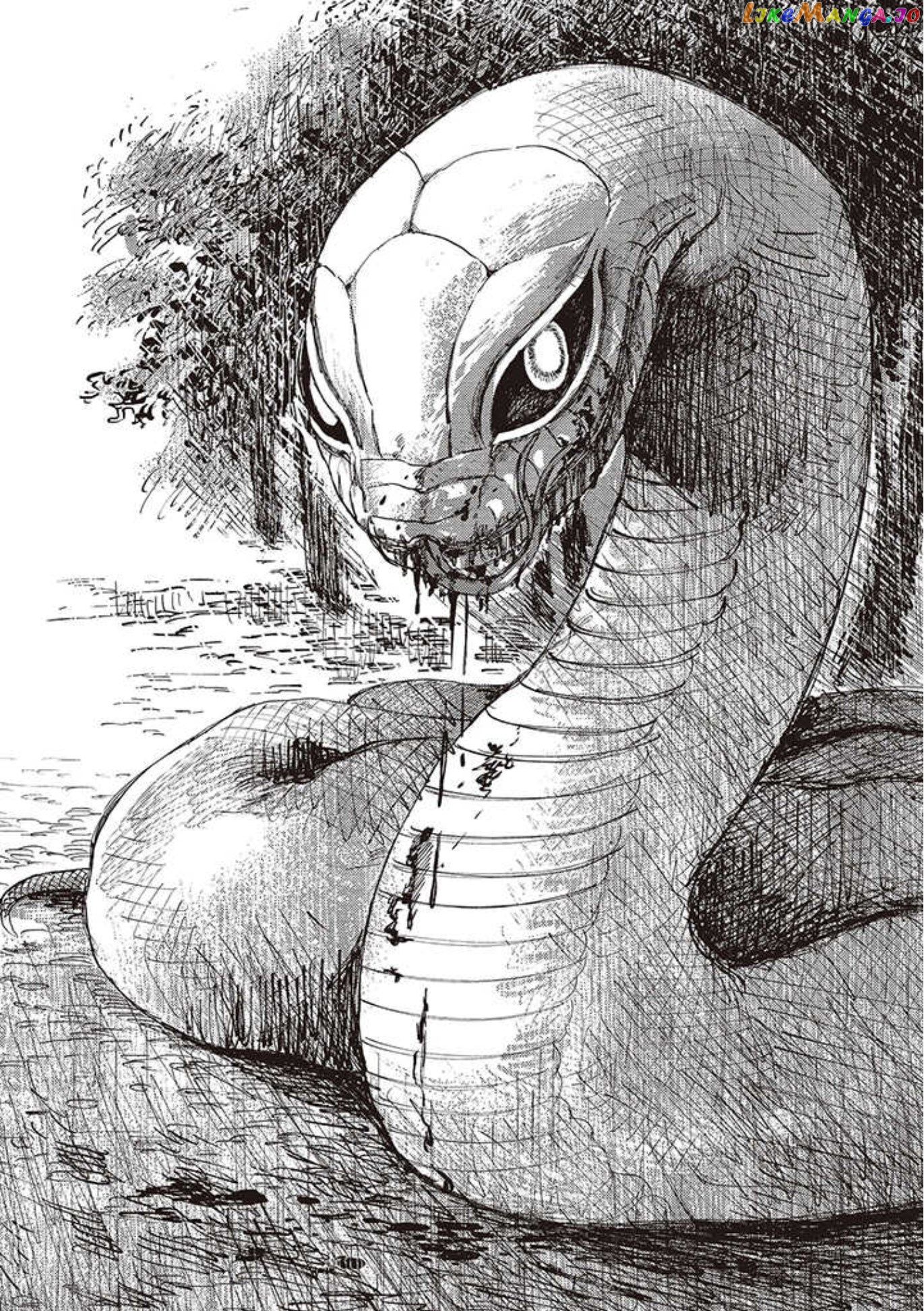 The Girl Who Married the Big Snake chapter 18 - page 35