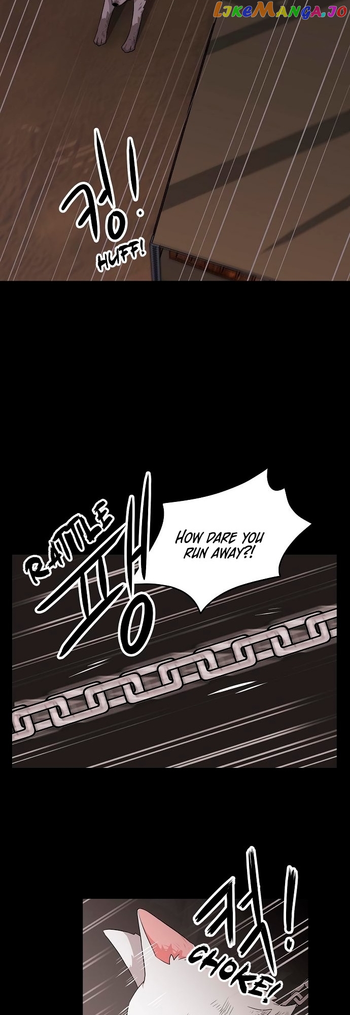 Woof Woof Again Today! chapter 1 - page 17