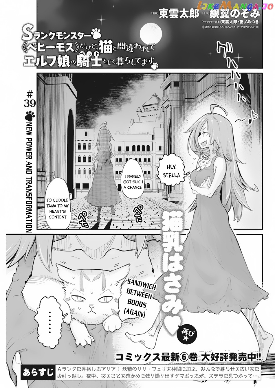 I Am Behemoth Of The S Rank Monster But I Am Mistaken As A Cat And I Live As A Pet Of Elf Girl chapter 39 - page 2
