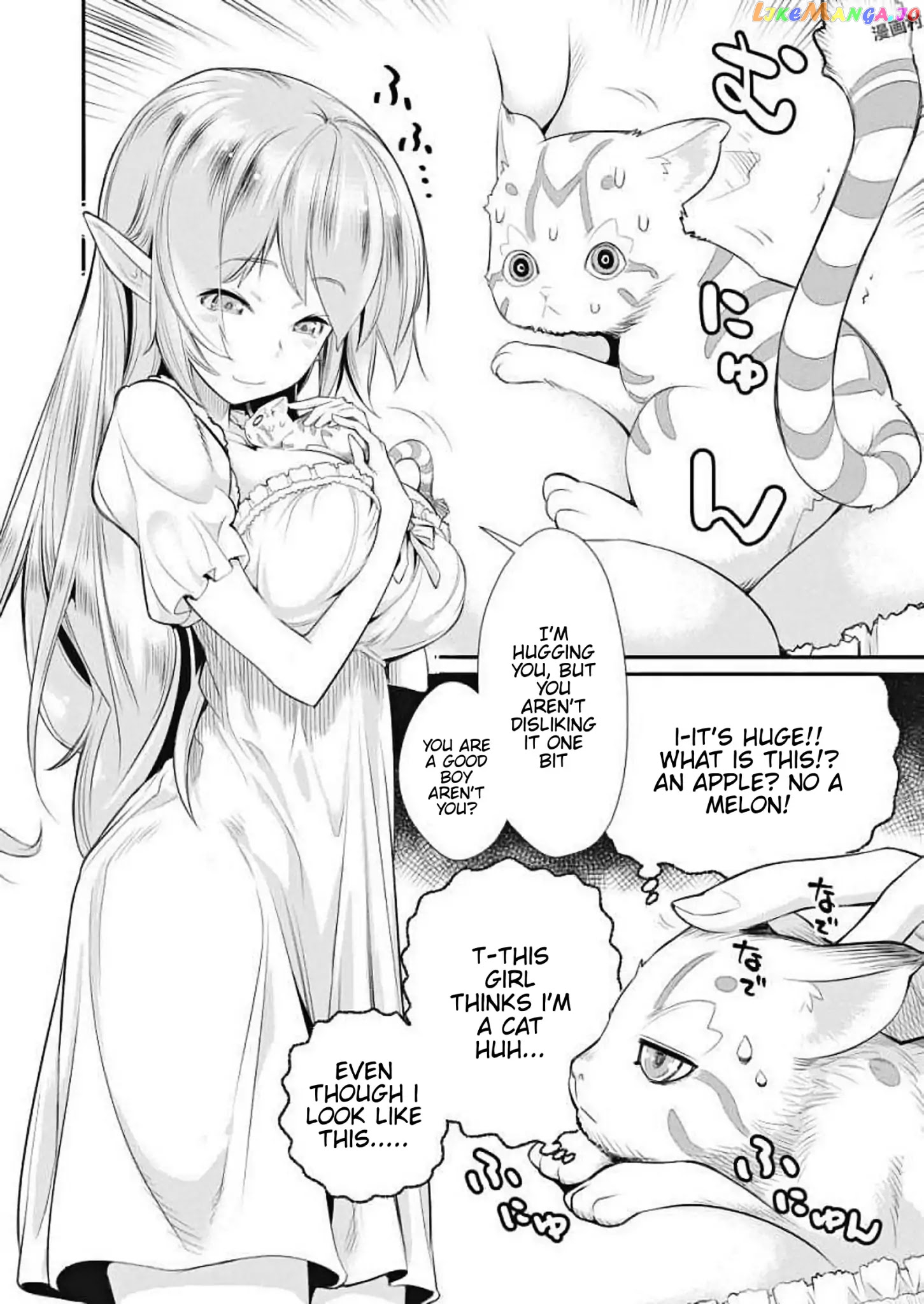 I Am Behemoth Of The S Rank Monster But I Am Mistaken As A Cat And I Live As A Pet Of Elf Girl chapter 1 - page 8