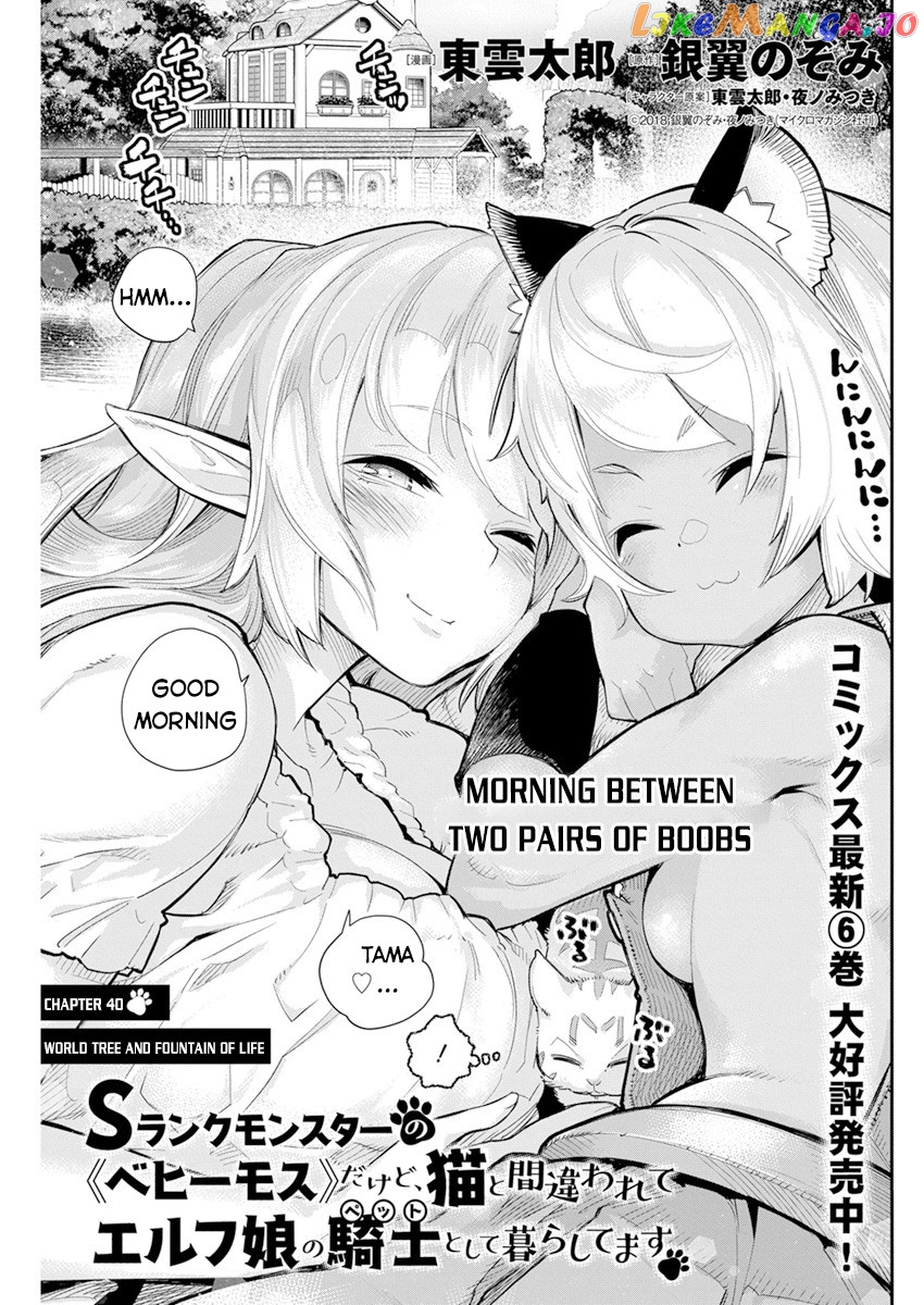 I Am Behemoth Of The S Rank Monster But I Am Mistaken As A Cat And I Live As A Pet Of Elf Girl chapter 40 - page 2