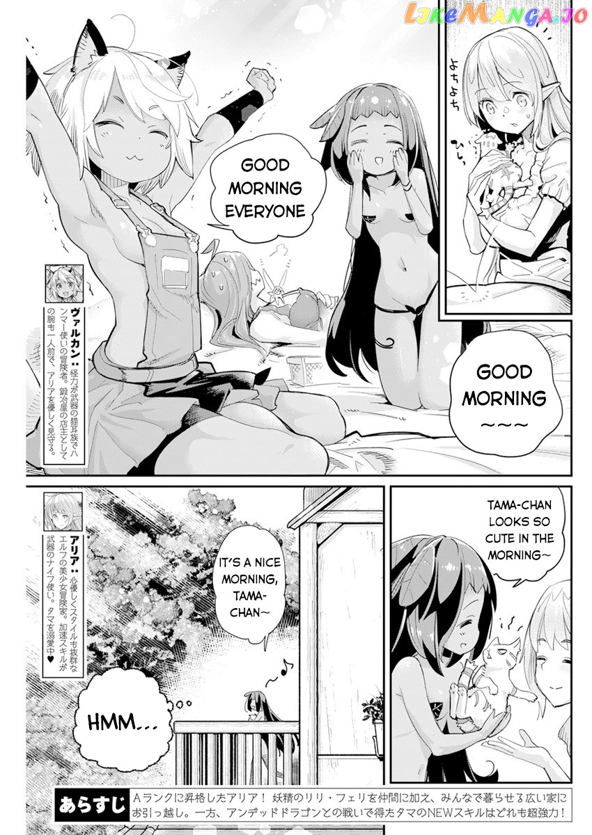 I Am Behemoth Of The S Rank Monster But I Am Mistaken As A Cat And I Live As A Pet Of Elf Girl chapter 40 - page 4