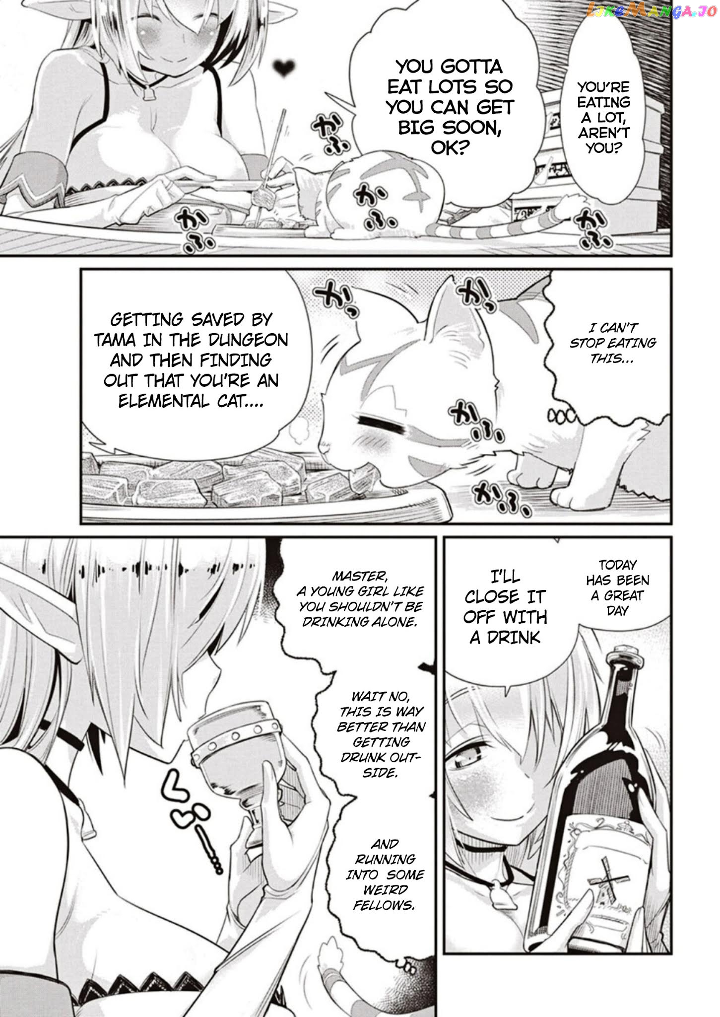 I Am Behemoth Of The S Rank Monster But I Am Mistaken As A Cat And I Live As A Pet Of Elf Girl chapter 3 - page 21