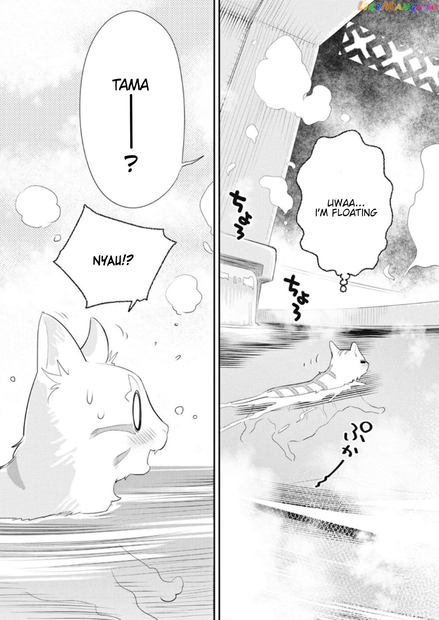 I Am Behemoth Of The S Rank Monster But I Am Mistaken As A Cat And I Live As A Pet Of Elf Girl chapter 4 - page 5