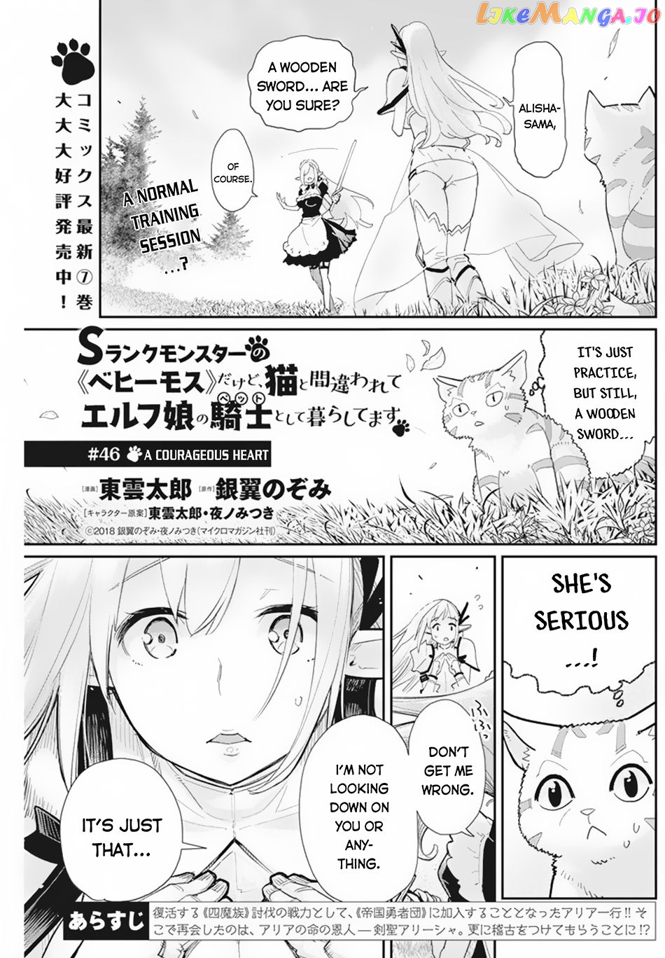 I Am Behemoth Of The S Rank Monster But I Am Mistaken As A Cat And I Live As A Pet Of Elf Girl chapter 46 - page 2