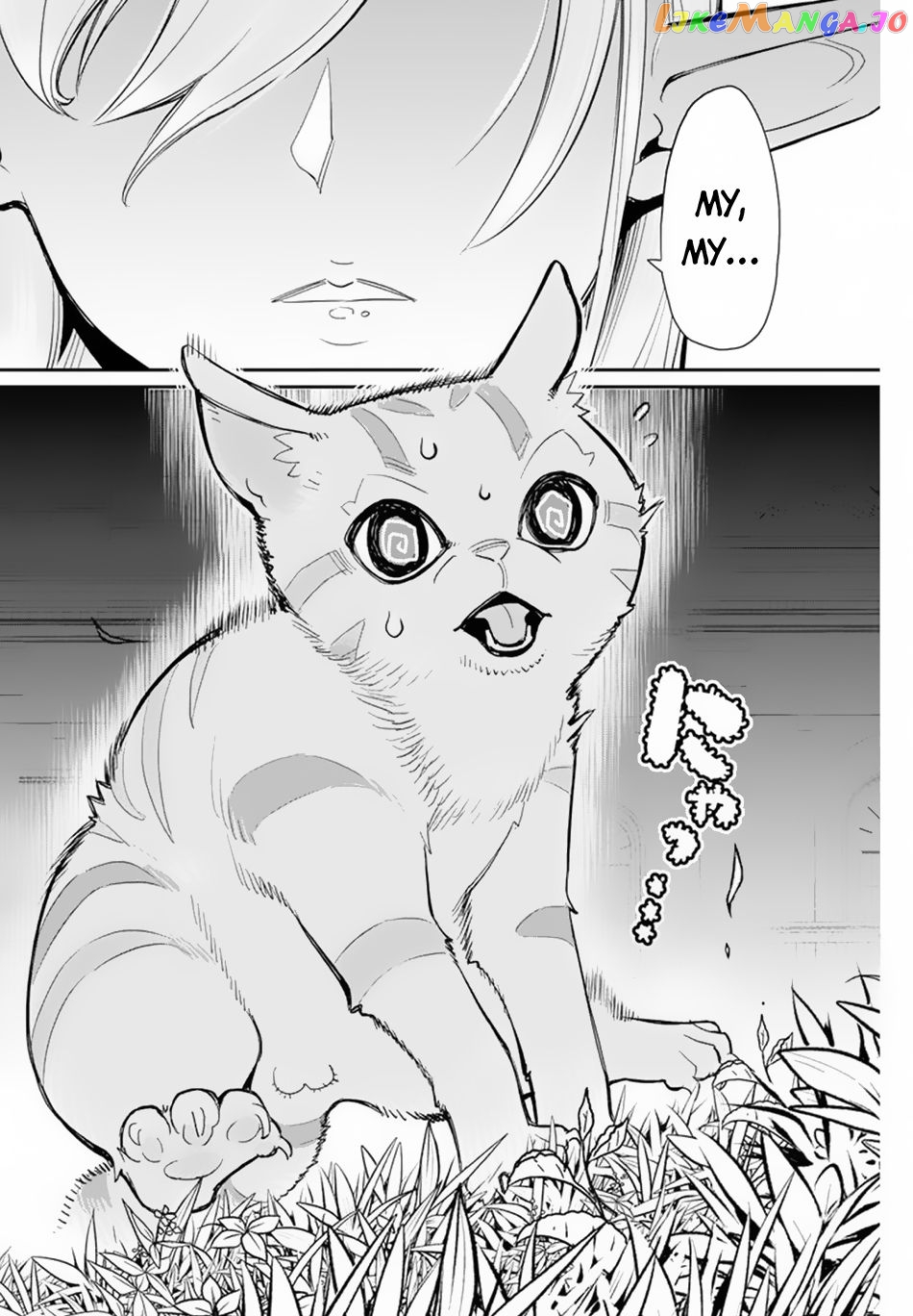 I Am Behemoth Of The S Rank Monster But I Am Mistaken As A Cat And I Live As A Pet Of Elf Girl chapter 47 - page 16