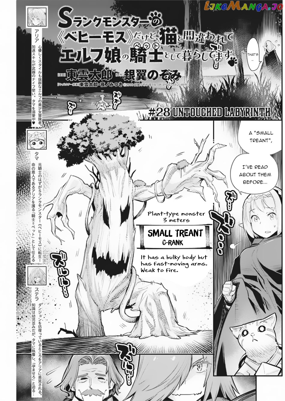 I Am Behemoth Of The S Rank Monster But I Am Mistaken As A Cat And I Live As A Pet Of Elf Girl chapter 28 - page 2