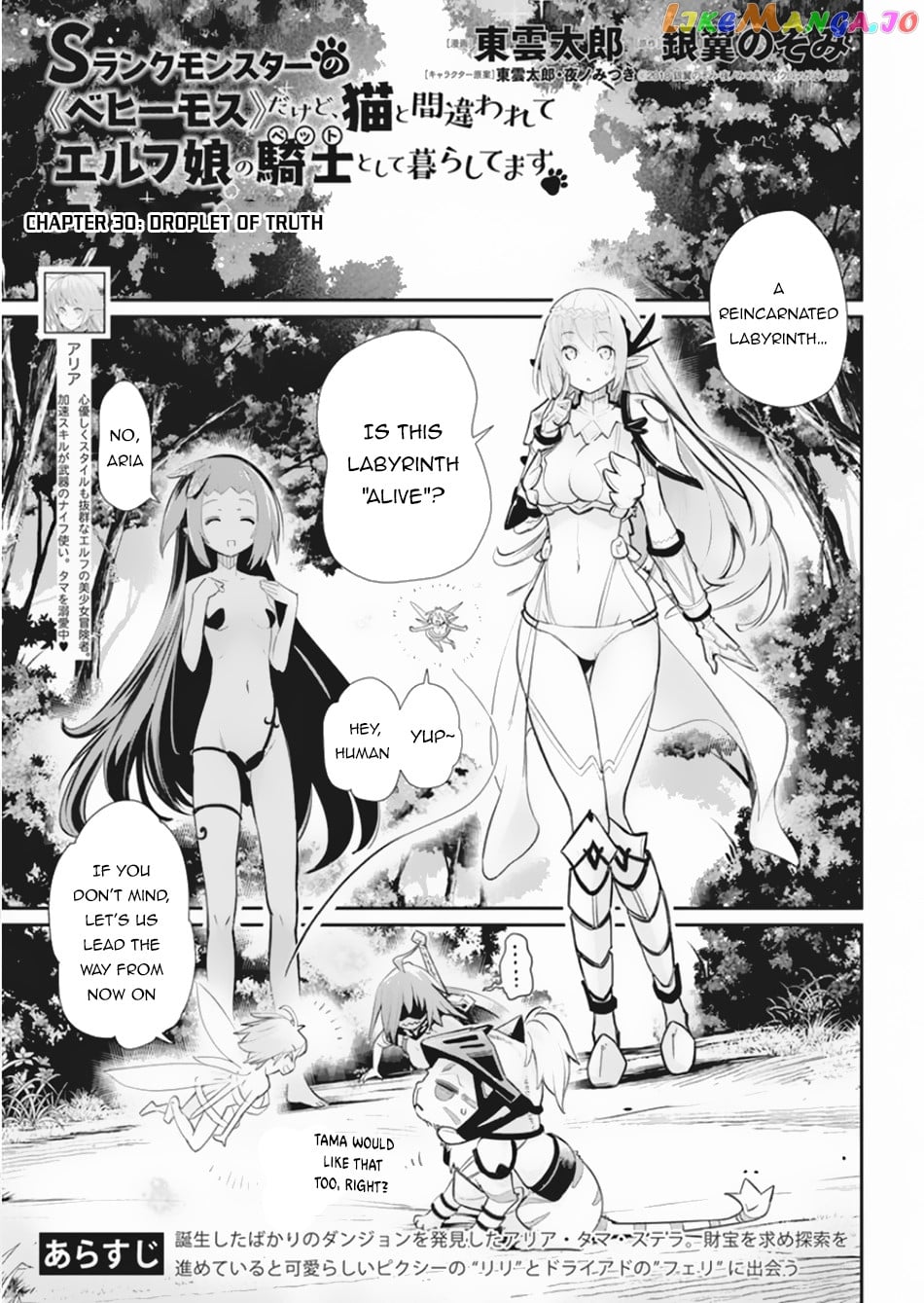 I Am Behemoth Of The S Rank Monster But I Am Mistaken As A Cat And I Live As A Pet Of Elf Girl chapter 30 - page 2