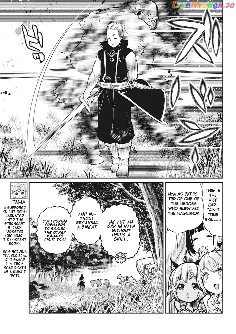 I Am Behemoth Of The S Rank Monster But I Am Mistaken As A Cat And I Live As A Pet Of Elf Girl chapter 11 - page 6