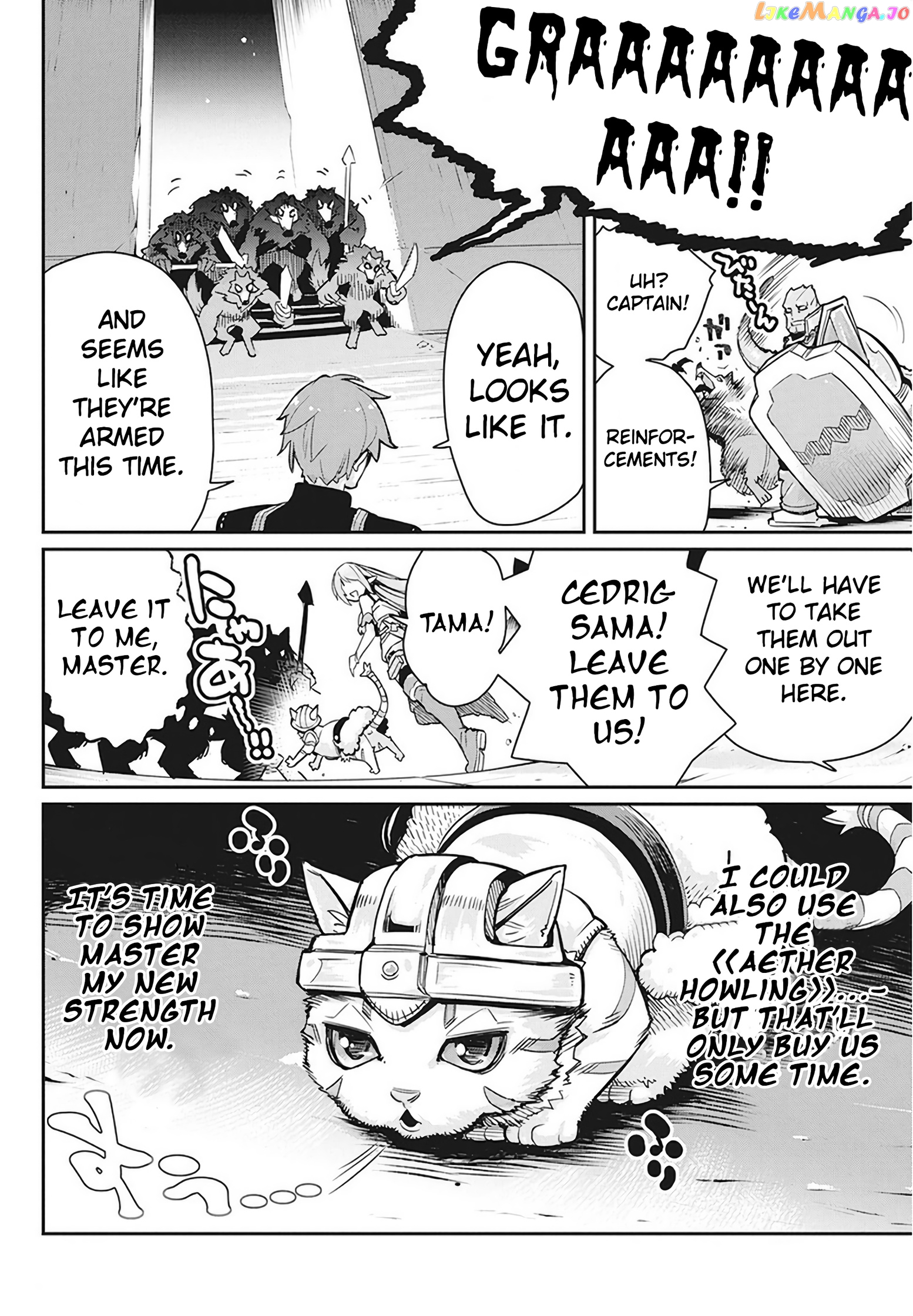 I Am Behemoth Of The S Rank Monster But I Am Mistaken As A Cat And I Live As A Pet Of Elf Girl chapter 13 - page 7