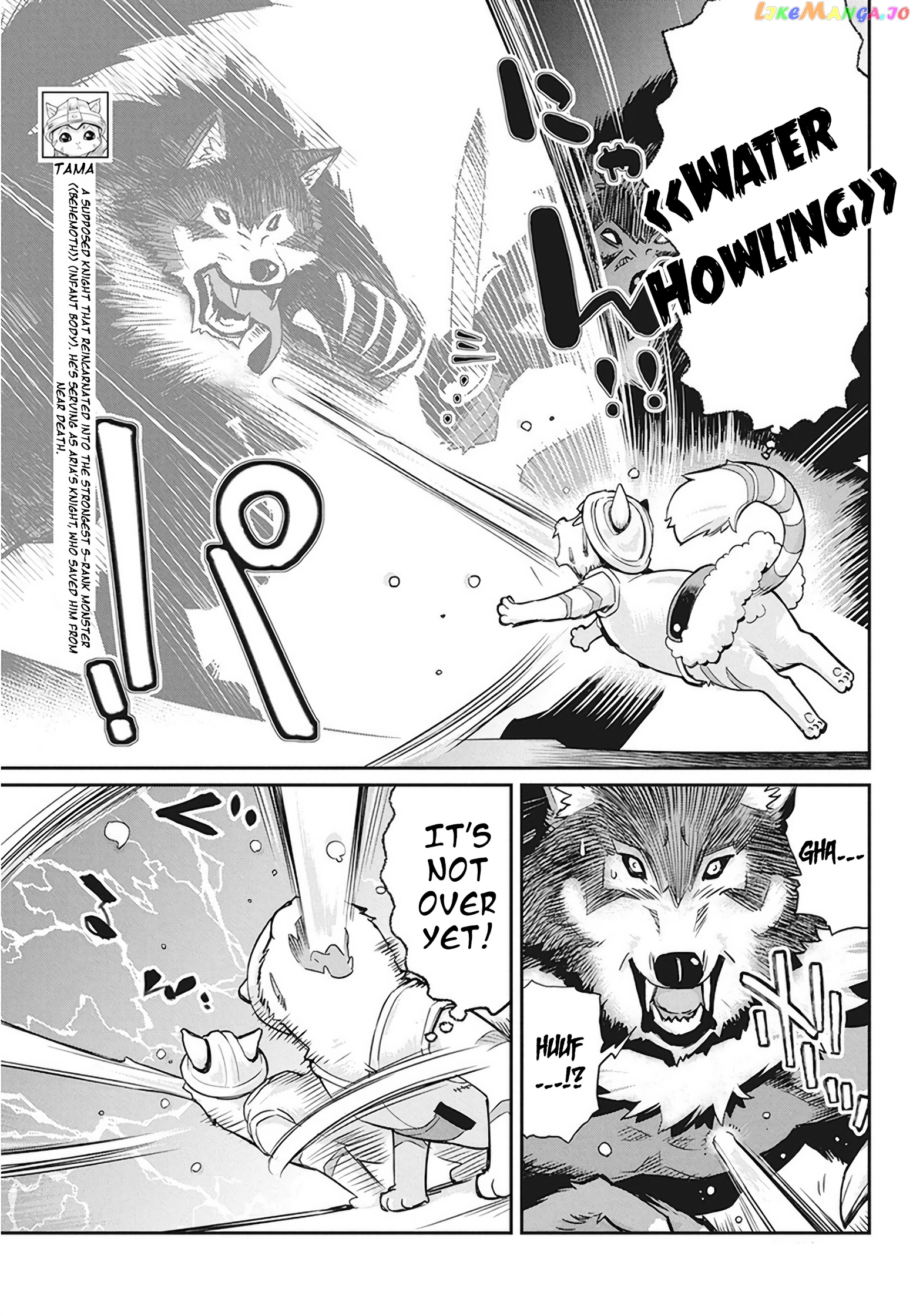 I Am Behemoth Of The S Rank Monster But I Am Mistaken As A Cat And I Live As A Pet Of Elf Girl chapter 13 - page 8