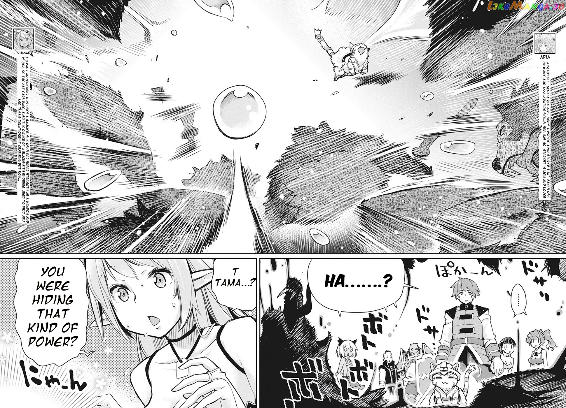 I Am Behemoth Of The S Rank Monster But I Am Mistaken As A Cat And I Live As A Pet Of Elf Girl chapter 13 - page 9