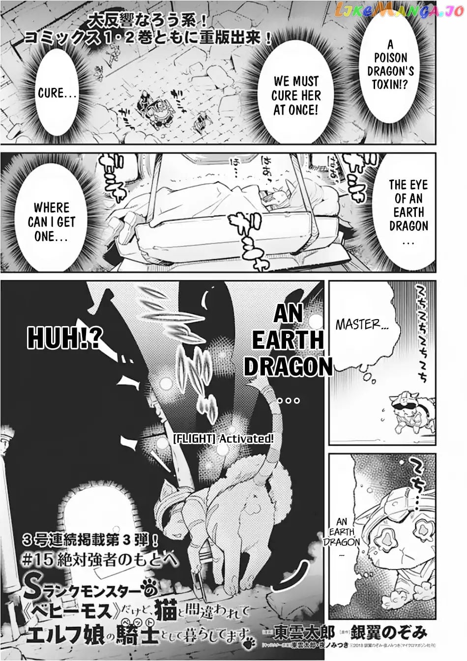 I Am Behemoth Of The S Rank Monster But I Am Mistaken As A Cat And I Live As A Pet Of Elf Girl chapter 15 - page 2