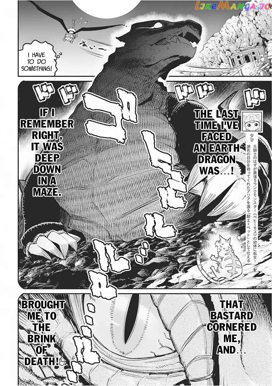I Am Behemoth Of The S Rank Monster But I Am Mistaken As A Cat And I Live As A Pet Of Elf Girl chapter 15 - page 3
