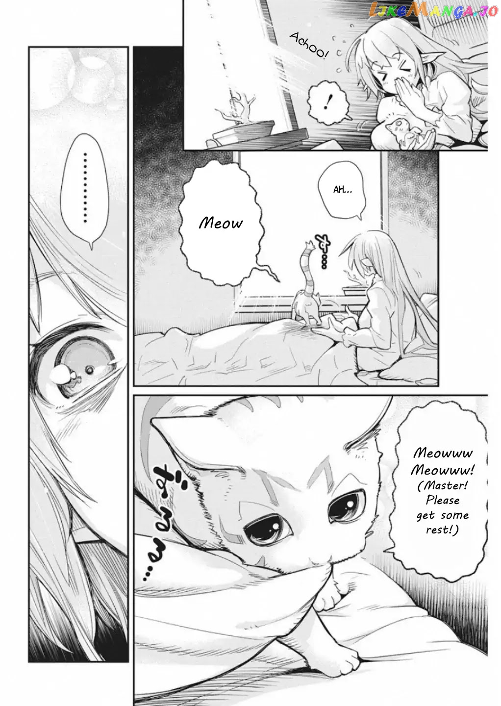 I Am Behemoth Of The S Rank Monster But I Am Mistaken As A Cat And I Live As A Pet Of Elf Girl chapter 16 - page 13