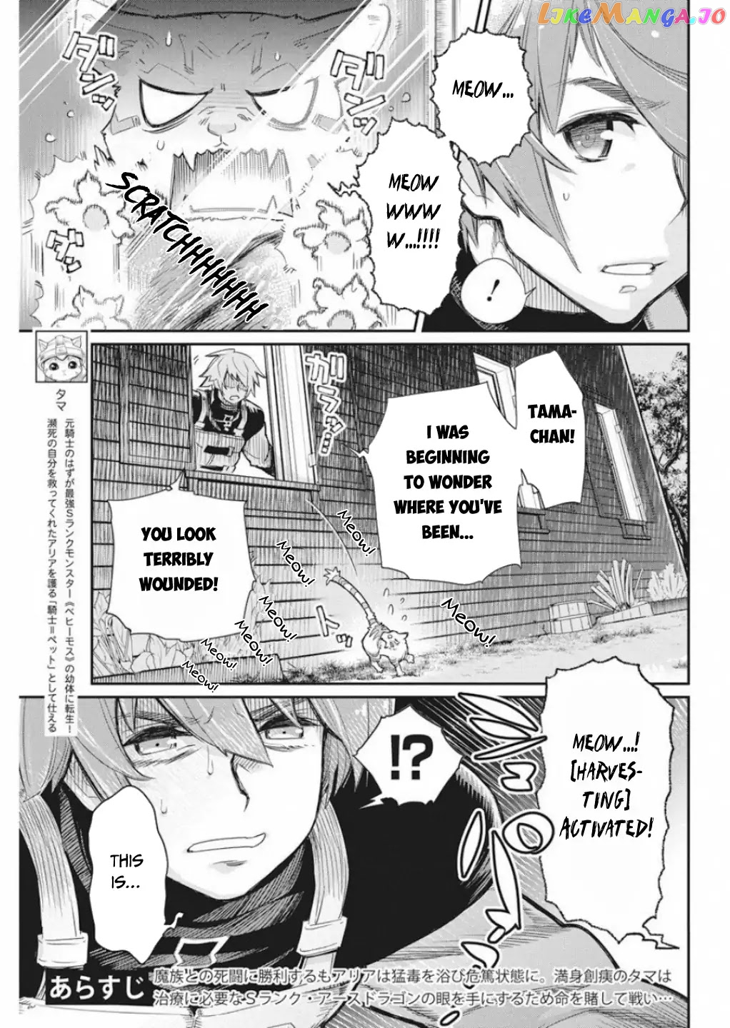 I Am Behemoth Of The S Rank Monster But I Am Mistaken As A Cat And I Live As A Pet Of Elf Girl chapter 16 - page 4