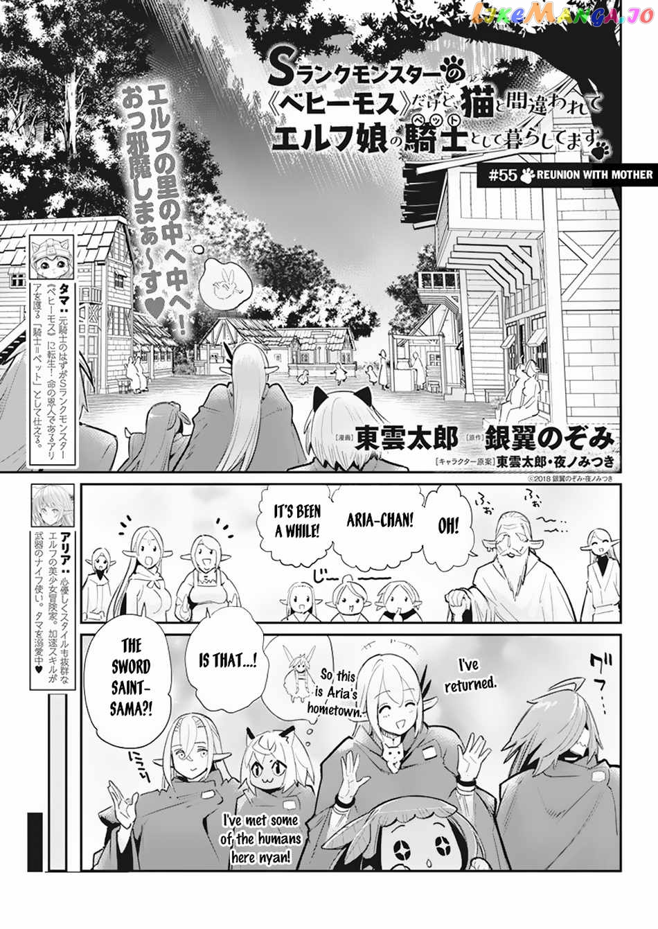 I Am Behemoth Of The S Rank Monster But I Am Mistaken As A Cat And I Live As A Pet Of Elf Girl chapter 55 - page 2
