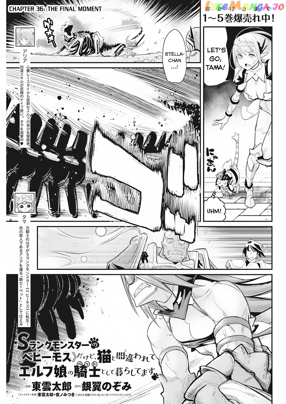 I Am Behemoth Of The S Rank Monster But I Am Mistaken As A Cat And I Live As A Pet Of Elf Girl chapter 36 - page 2