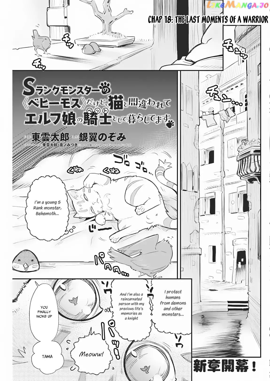 I Am Behemoth Of The S Rank Monster But I Am Mistaken As A Cat And I Live As A Pet Of Elf Girl chapter 18 - page 2