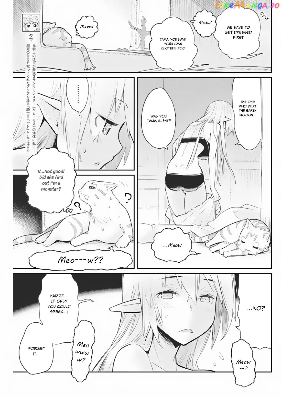 I Am Behemoth Of The S Rank Monster But I Am Mistaken As A Cat And I Live As A Pet Of Elf Girl chapter 18 - page 4
