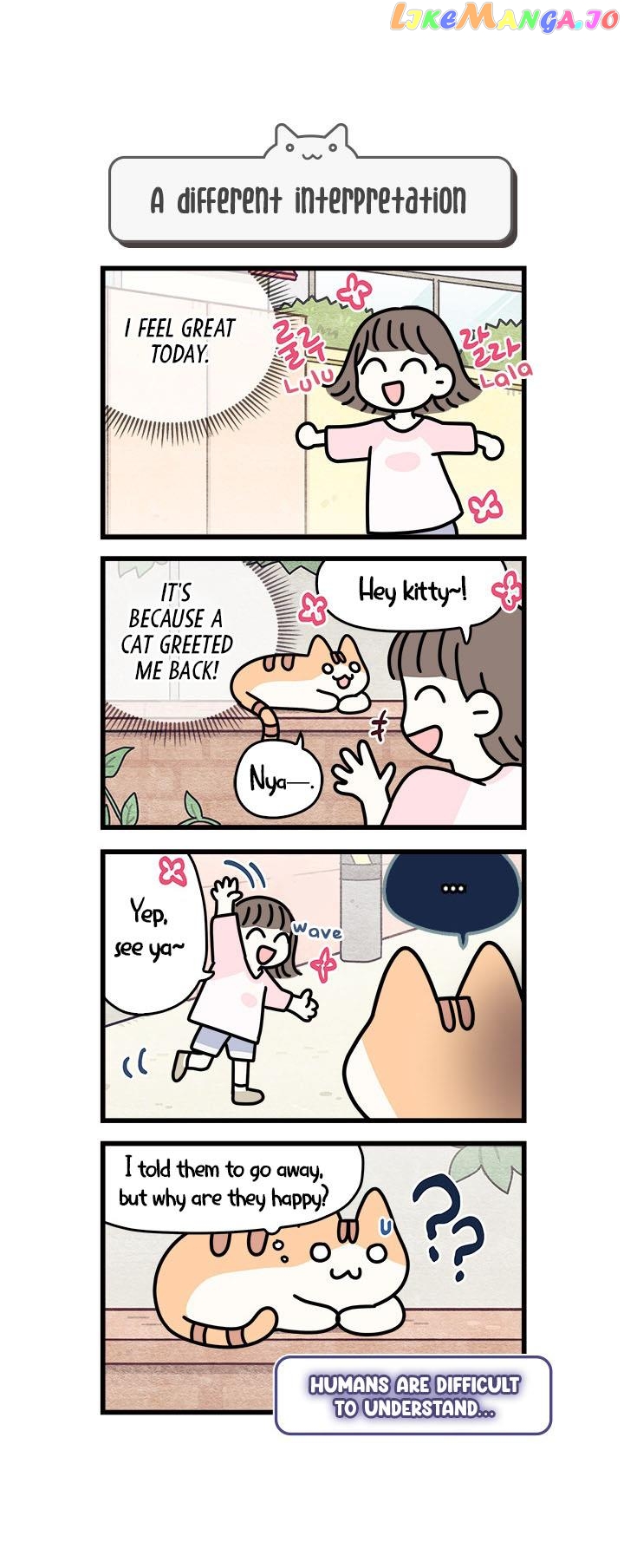 Cats Own The World chapter 51 - page 1
