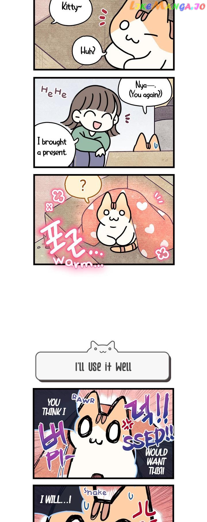 Cats Own The World chapter 51 - page 3