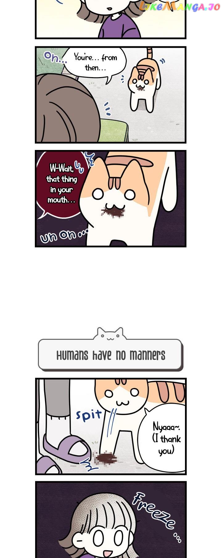 Cats Own The World chapter 51 - page 5