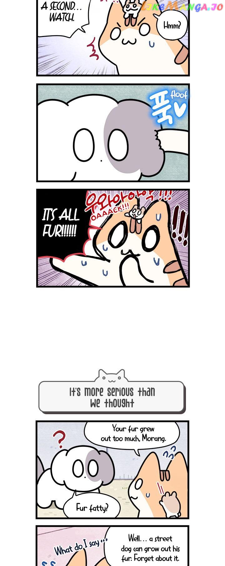 Cats Own The World chapter 52 - page 3
