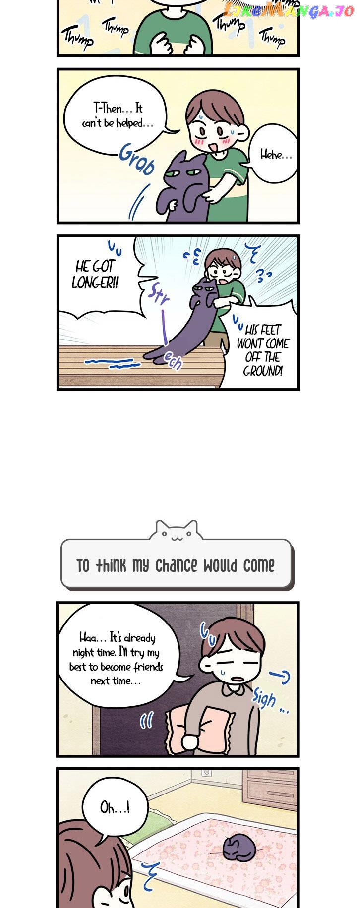 Cats Own The World chapter 53 - page 4