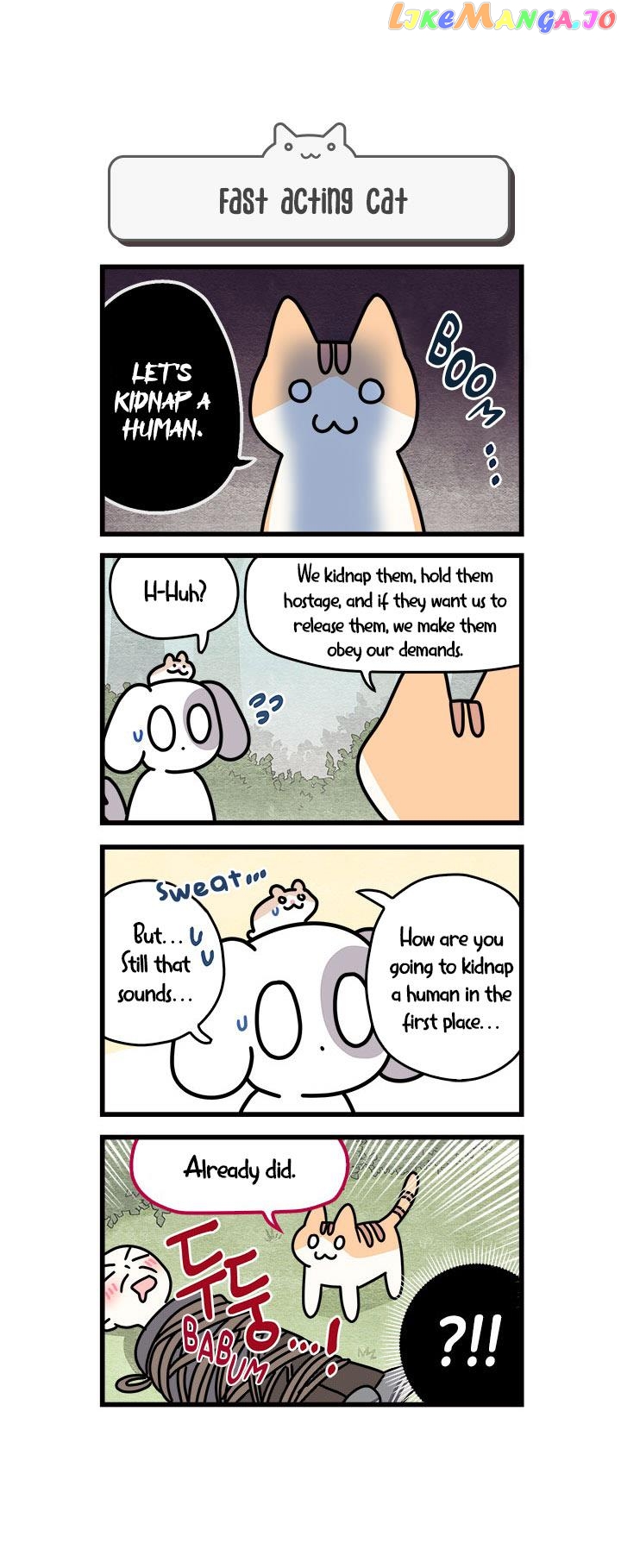Cats Own The World chapter 54 - page 1