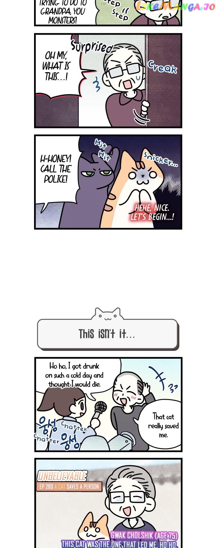 Cats Own The World chapter 54 - page 5