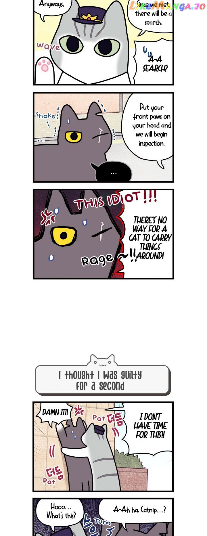 Cats Own The World chapter 55 - page 4
