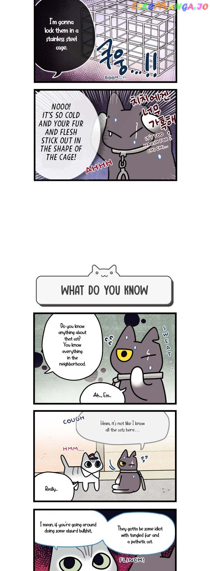 Cats Own The World chapter 56 - page 3