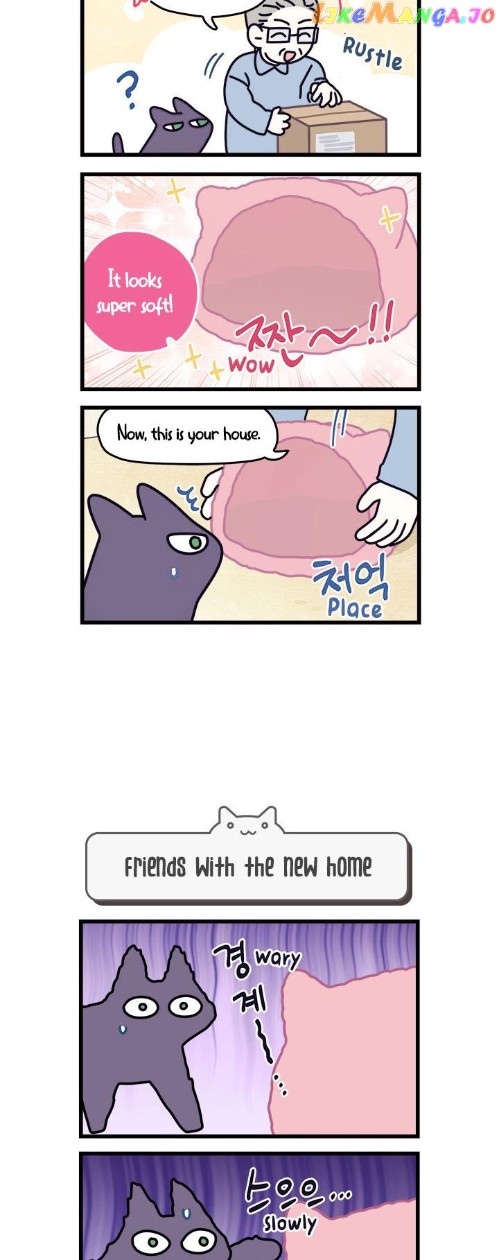 Cats Own The World chapter 57 - page 3
