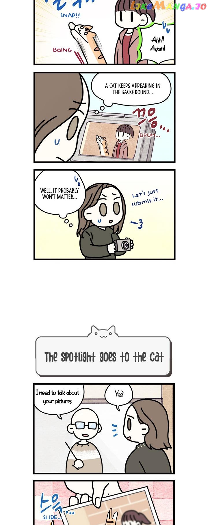 Cats Own The World chapter 60 - page 3