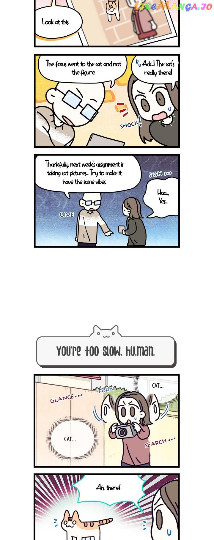 Cats Own The World chapter 60 - page 4