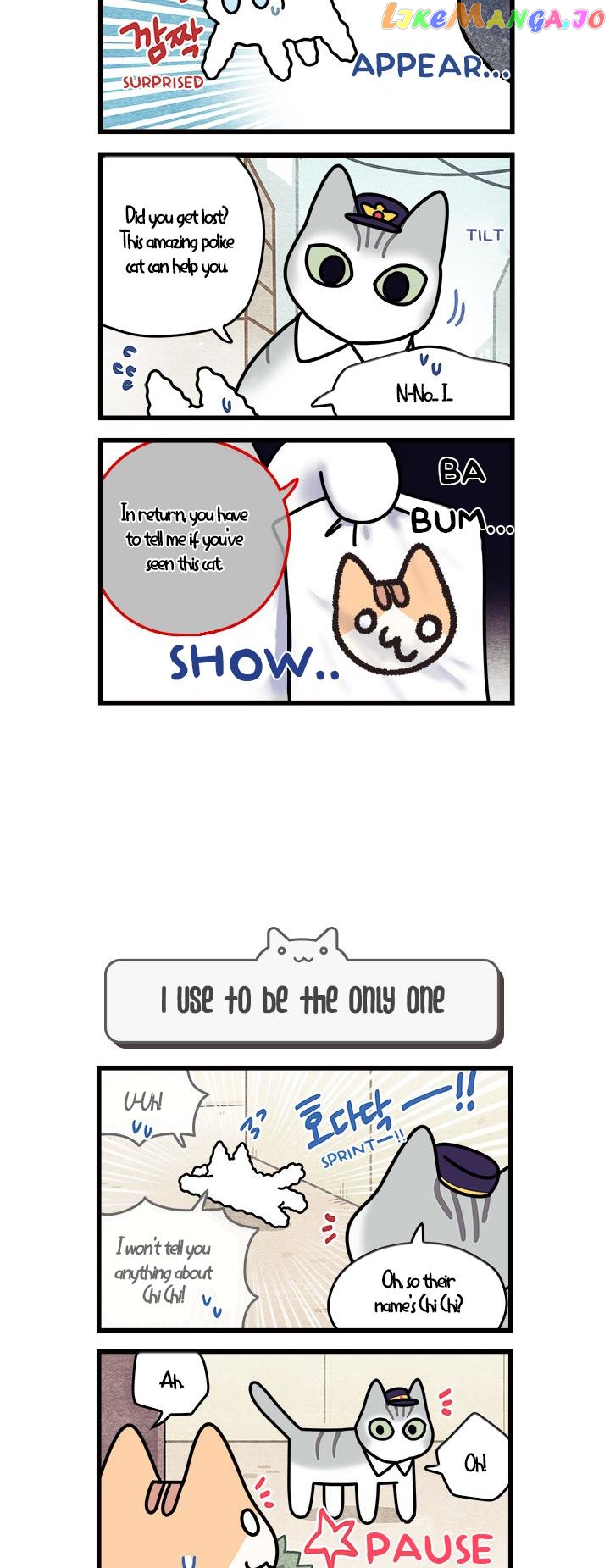 Cats Own The World chapter 61 - page 3