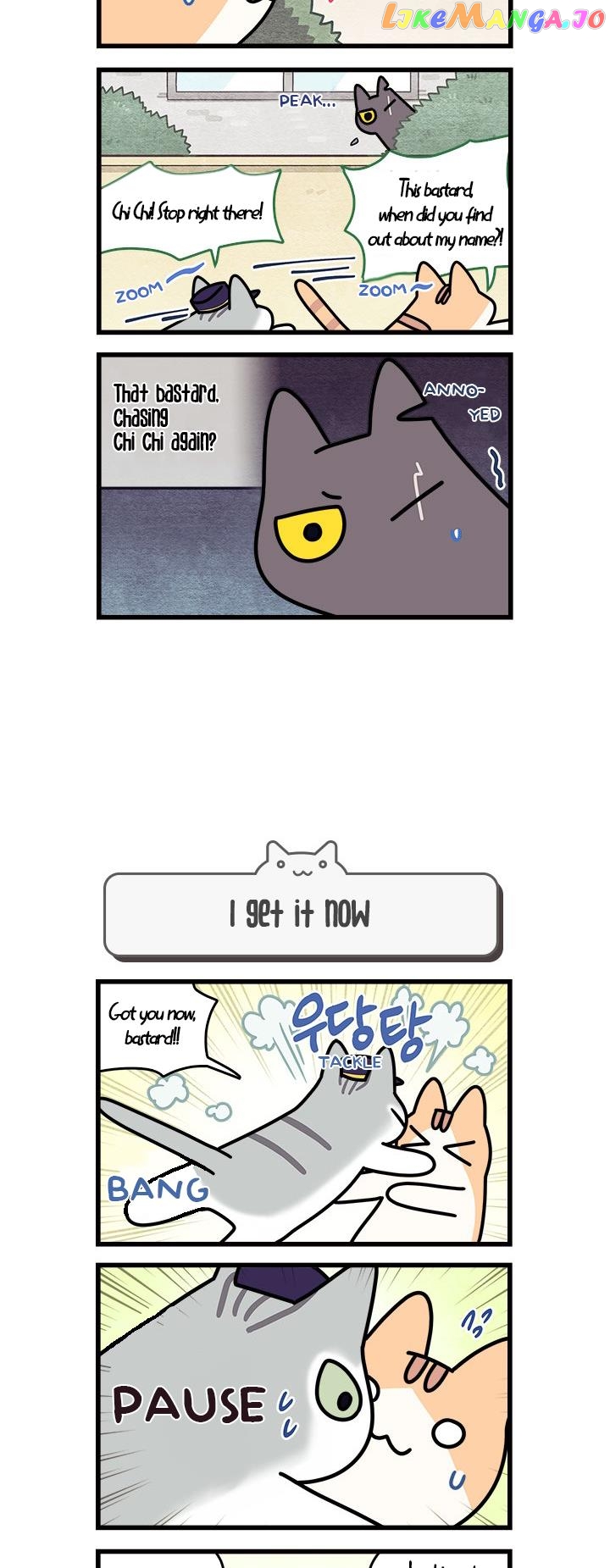 Cats Own The World chapter 61 - page 4