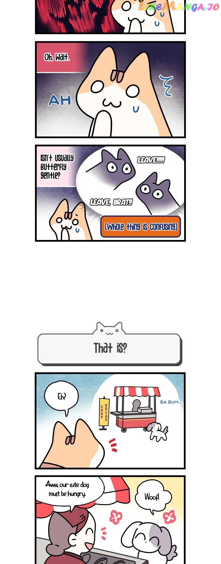 Cats Own The World chapter 62 - page 4