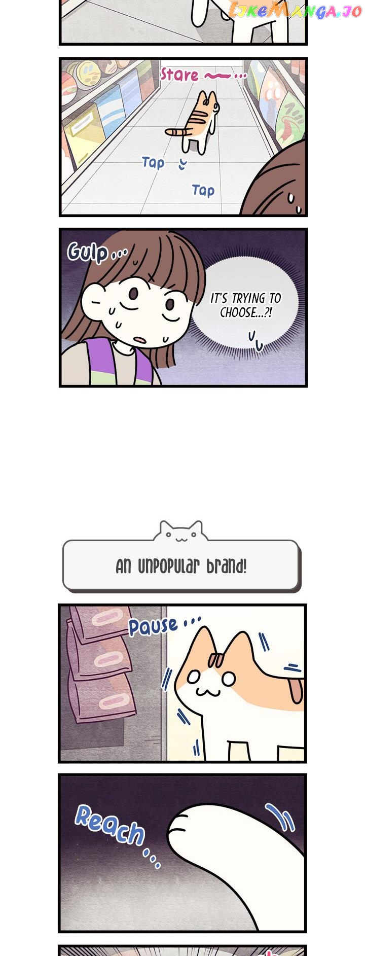Cats Own The World chapter 63 - page 3