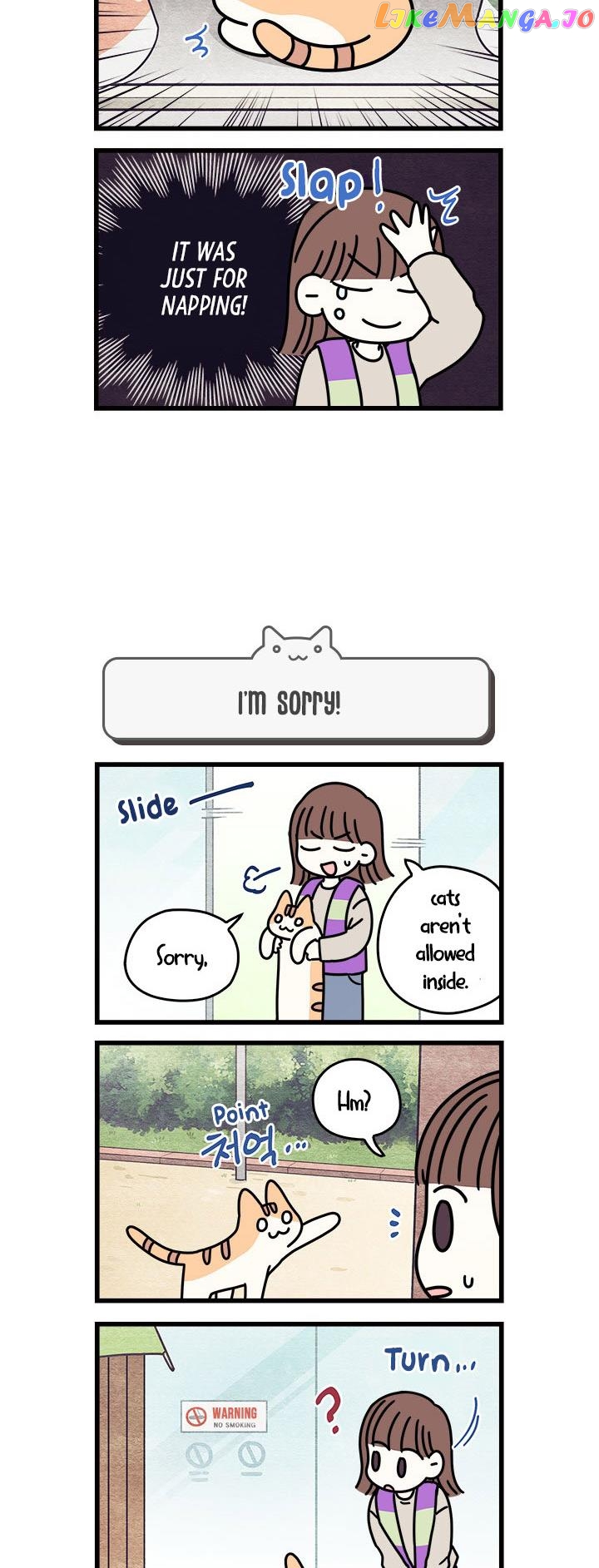 Cats Own The World chapter 63 - page 5
