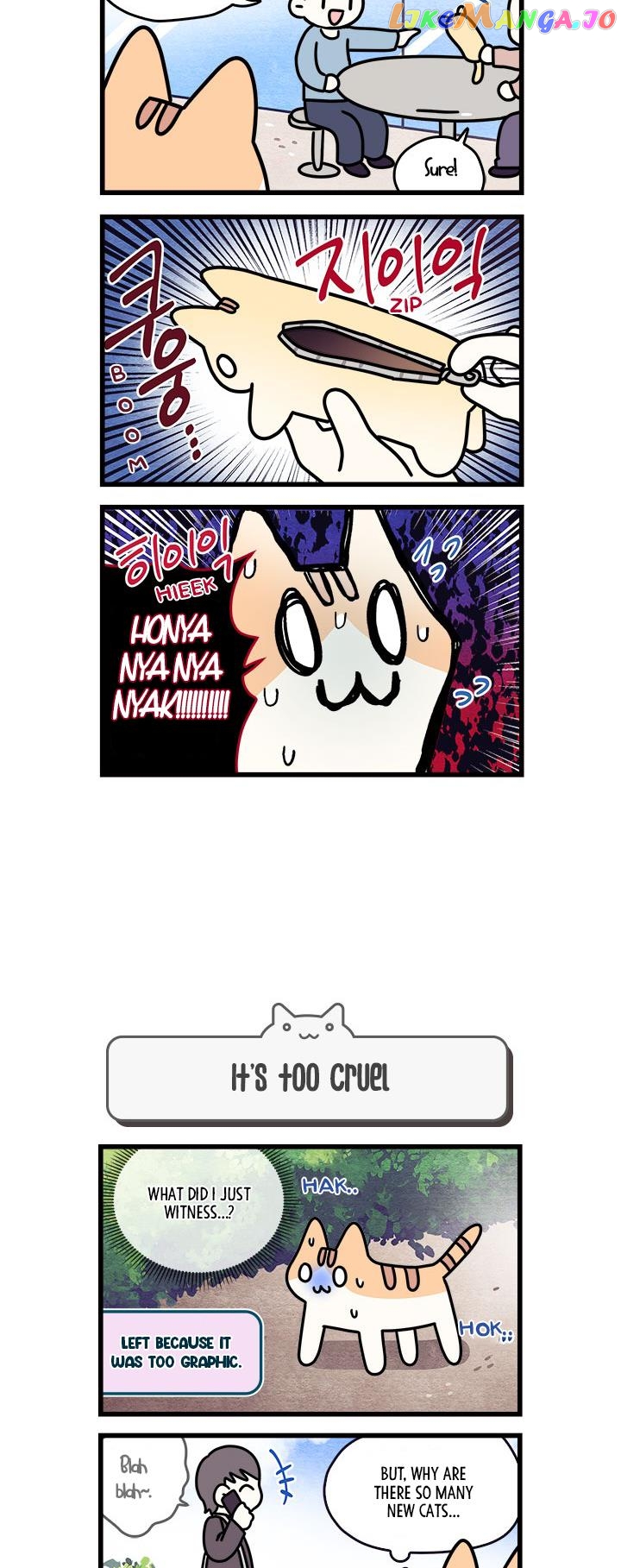 Cats Own The World chapter 64 - page 3