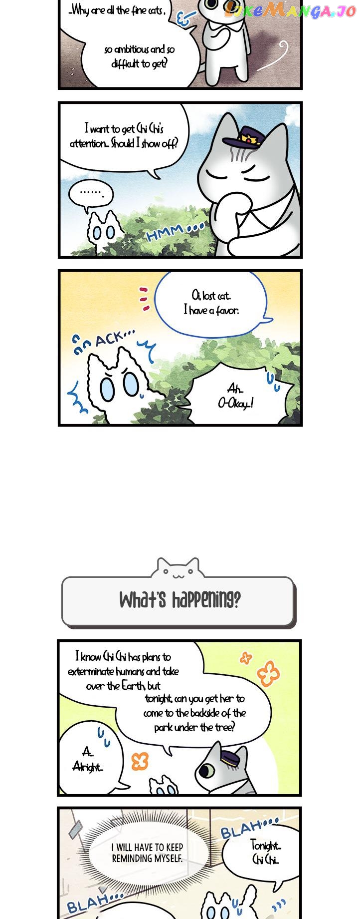 Cats Own The World chapter 66 - page 3