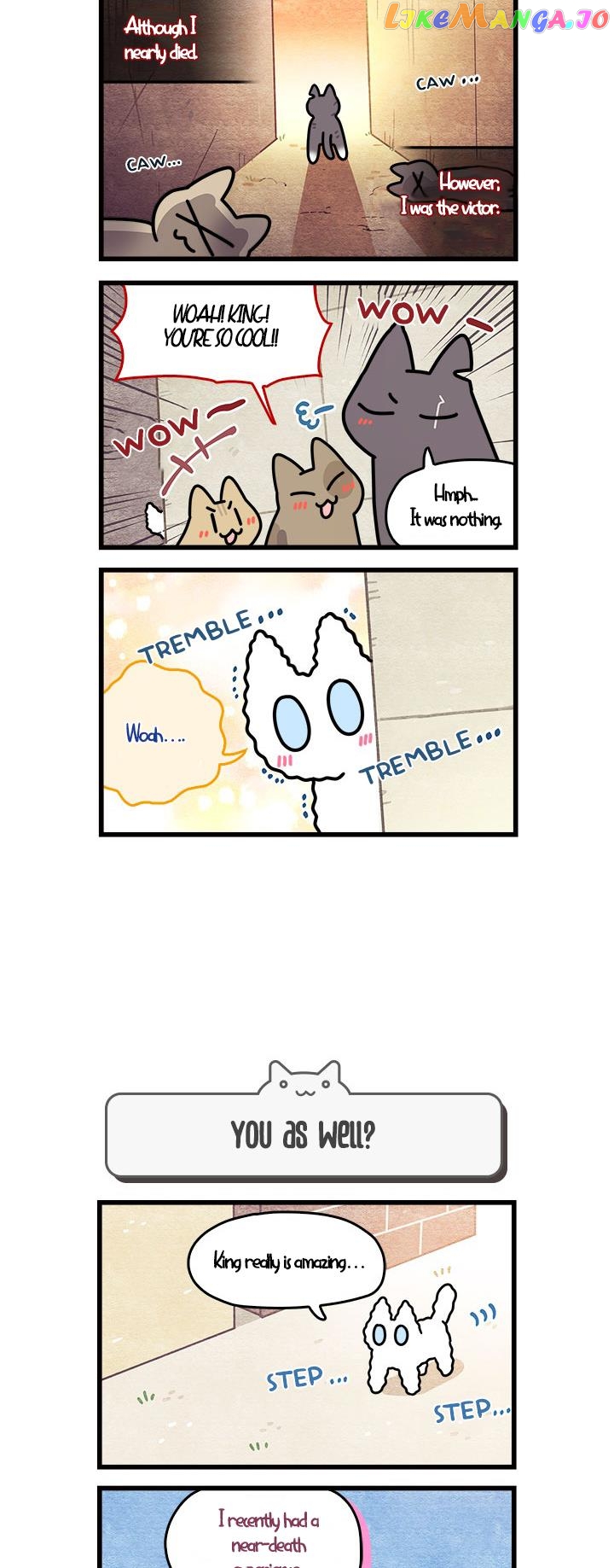 Cats Own The World chapter 68 - page 3
