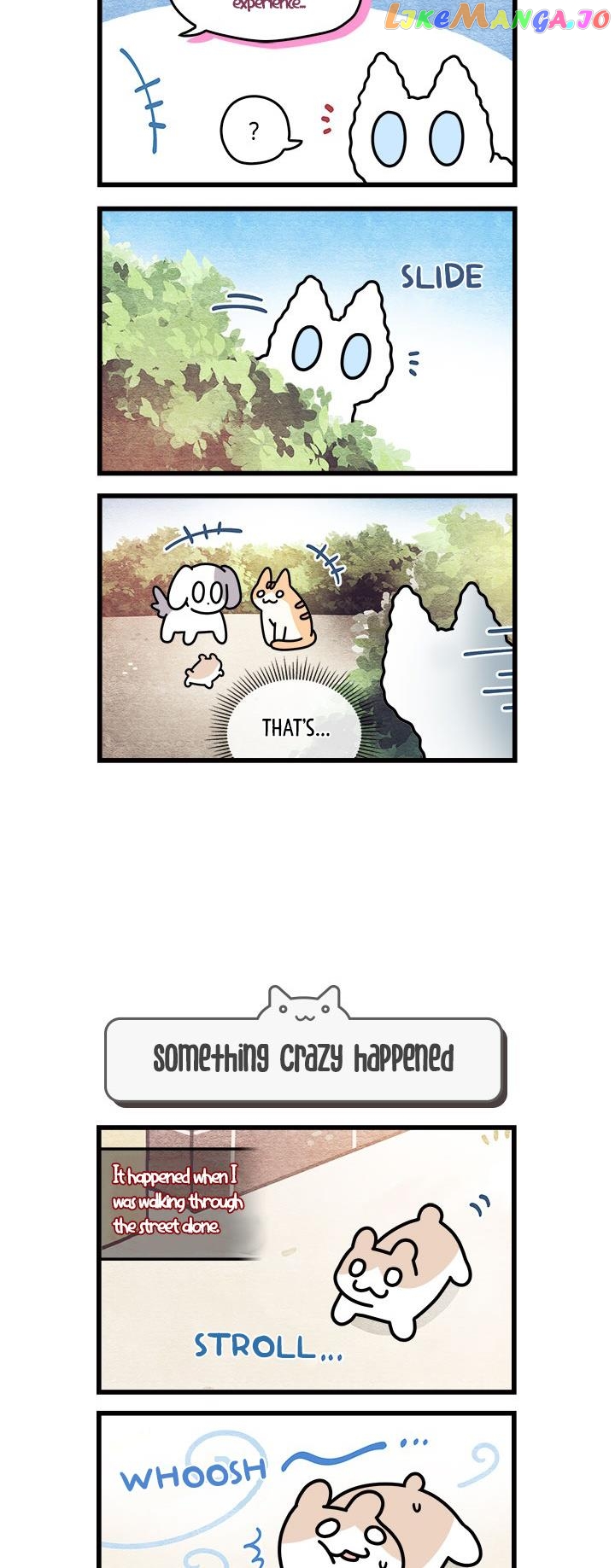Cats Own The World chapter 68 - page 4